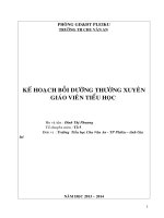 KE HOACH BOI DUONG THUONG XUYEN NAM 2013 -2014
