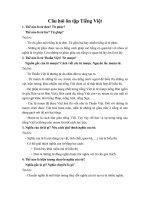 Câu hỏi ôn tập tiếng Việt lớp 6 HKI