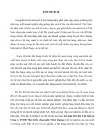 Luận văn Kế toán bán hàng và Xác định kết quả kinh doanh của Công ty Phát triển Công nghệ Minh Quang