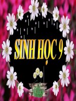 TIẾT 14. DI TRUYỀN LIÊN KẾT