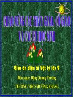 Lực điện rừ VL 9