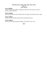 Tiết 46. Kiểm tra Tiếng Việt một tiết