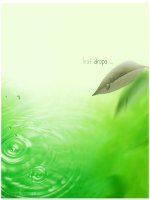 Bài 26. TRỒNG CÂY RỪNG