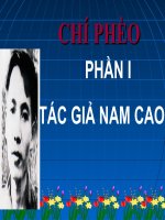 Tac gia Nam Cao_ Ngu van 11