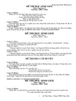 de thi hsg ngu van 9