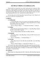 Kĩ thuật trồng khoai lang