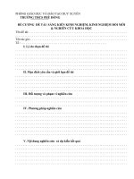 mẫu đề cương sáng kiến kinh nghiệm, KNĐM