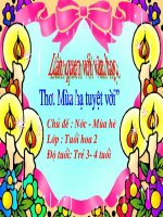 Mùa Hạ Tuyệt vời