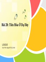 Bài 27 Tiêu Hóa Ở Dạ Dày