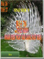 Bai 26 TH Nhan biet mot vai dang dot bien