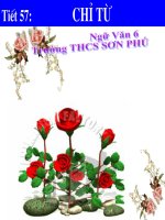 Bài 13 Chỉ từ Ngữ Văn