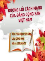 ĐƯỜNG LỐI CM CỦA ĐẢNG CS