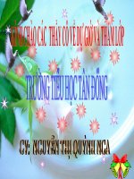 Luyện từ và câu: Mở rộng vốn từ: ý chí - nghị lực