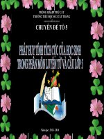 Chuyên đề luyện từ và câu lớp 5