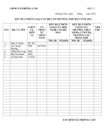 phieu bieu quyet can bo b