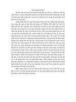 Tả về ngôi trường (bài văn luôn được điểm 10)