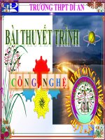 Benh va phuong phap phong tri cho ga