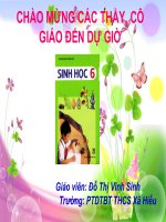 bai 21: Quang hop (tiep theo)