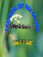 Khoa học 4: Phong tranh tai nan duoi nước