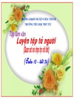 TLV LT tả người Tuần 12 tiết 2