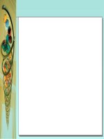 Tiết 32 Bệnh và tật di truyền ở người( soạn theo định hướng dạy học mới)