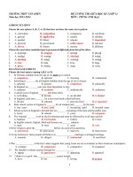 de cuong anh hoc ky 1 lop 12