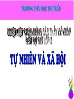 Bài: ngày và đêm trên Trái Đất