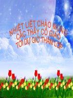 Bai Nuoc Dai Viet ta