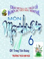 Bài thao giảng MT 6 Sơ lược về MT Thời Lý