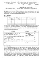 Đề thi giải MTCT Tuyên Quang  2010-1011