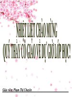 Bài giảng:Bài 11- Thiên nhiên phân hóa đa dạng