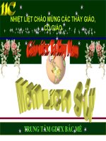 Bai 15 Phong trào cách mạng ở TQ&AD