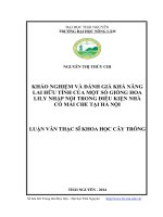 Khảo nghiệm và đánh giá khả năng lai hữu tính của một số giống hoa lily nhập nội trong điều kiện nhà có mái che tại hà nội