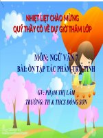 on tap tac pham tru tinh lop 7