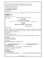 GIAO ÁN TUAN 17 - LOP 4 THEO CKTKN