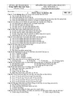 ĐỀ THI HỌC KỲ I MÔN SINH LỚP 11