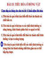 bai 15. Tieu hoa o động vật