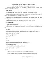 CẤU TRÚC ĐỀ THI HỌC SINH GIỎI THCS CẤP TỈNH MÔN TIN HỌC NĂM HỌC  2012 - 2013)