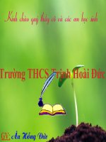 Bài 23. Cây có hô hấp không?