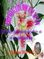 Giáo án lớp 5 mới tinh