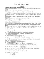 CÂU HỎI TOÁN HỌC LỚP 6