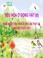 bai 16: Tiêu hóa ở động vật (tt)