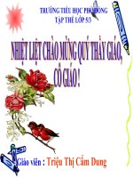 tuan 15: MO RONG VON TU HANH PHUC