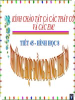 hình 8- th đồng dạng thứ 3