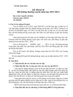 kế hoạch bồi dưỡng thường xuyên 2013