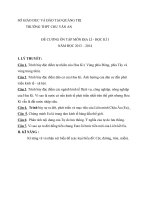 Đề cương ôn tập khối 11 - năm học 2013 - 2014