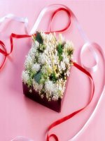 Bai 6 mặt phẳng tọa độ