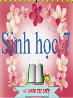 tiet 22 sinh 7 :dac diem chung nganh than mem