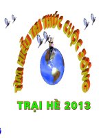 Giao lưu tìm hiểu tri thức cuộc sống hè 2013