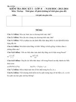 Đề thi học kỳ I. 2013-2014 - tin8 ma trận chuẩn cực hay